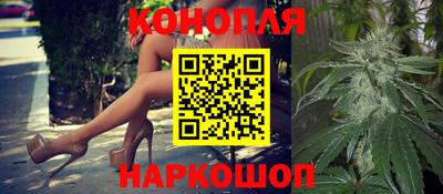 спиды Моздок