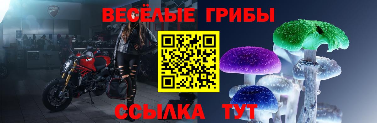 Таганрог  Галлюциногенные грибы Psilocybe  Вход с VPN 